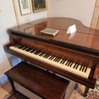 Winter Piano for Sale